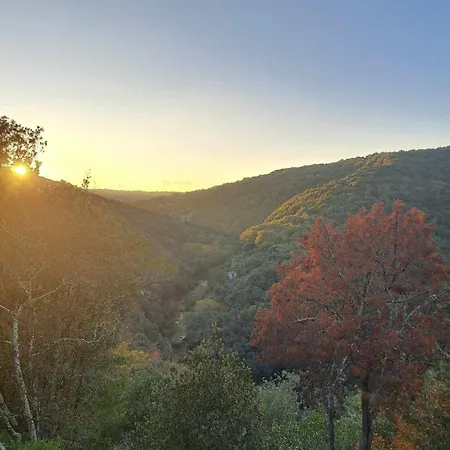 别墅 Le Vieux Tilleul - De Charme Avec Piscine Chauffee - Proche Uzes